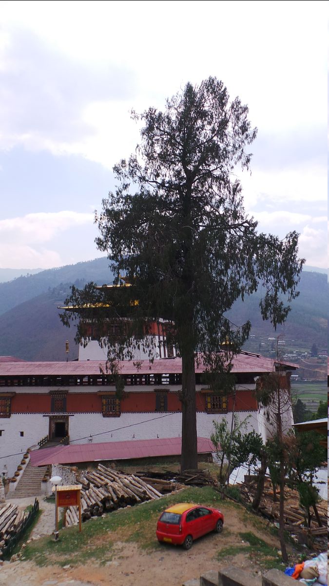 Paro Dzong02